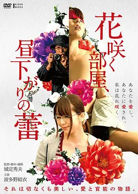 海上信使 剧情电影免费在线观看